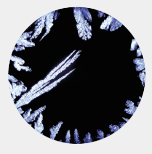 Picture8.png